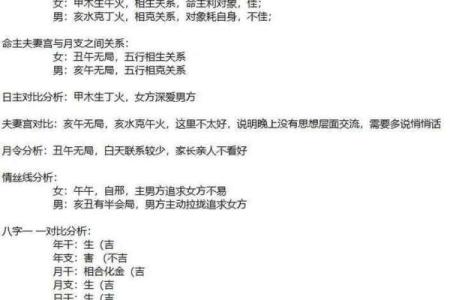 八字合盘