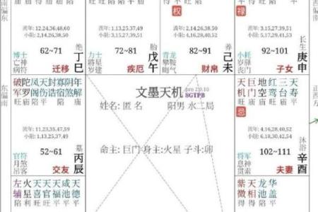 紫微斗数身宫算命 紫微斗数身宫是什么意思？