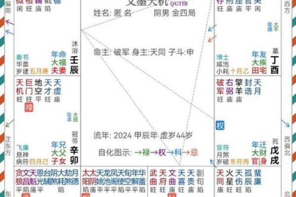 紫微排盘命宫自化忌 紫微斗数自化忌详解之命宫自化忌