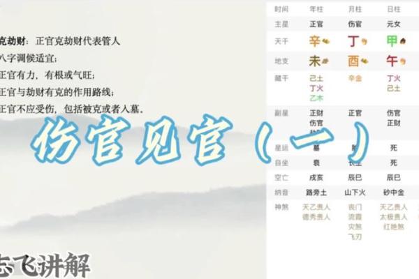 紫薇斗数伤官