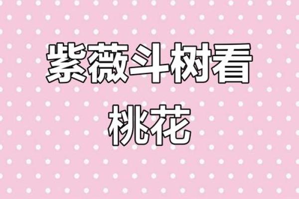 紫薇斗数流年桃花