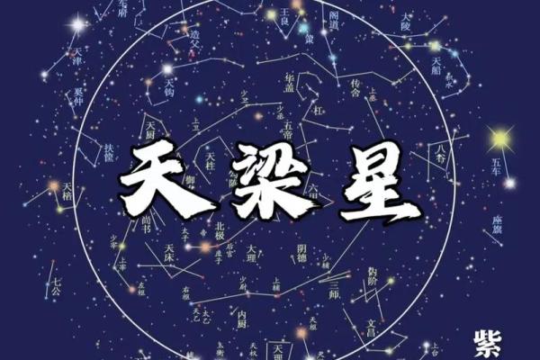 子由紫薇斗数