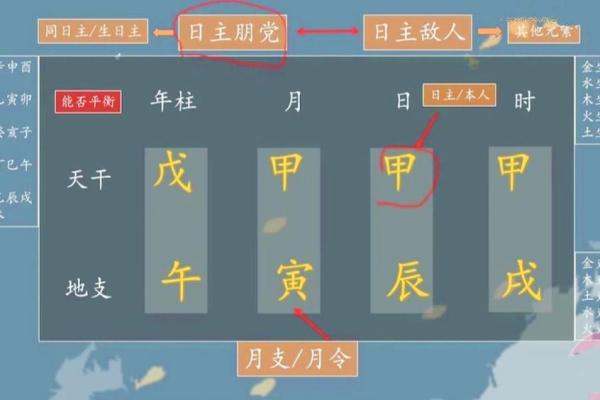 子由紫薇斗数