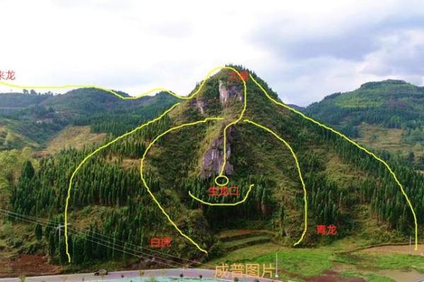 选墓地的最好风水是什么
