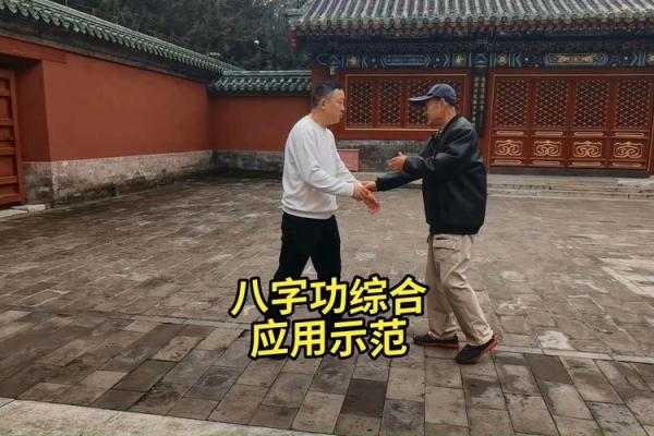 形意拳法——八字功