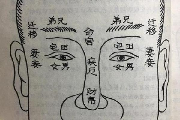 面相图解-弓丧眉算命及性格特征