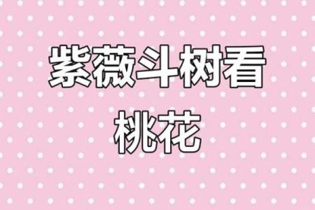 紫薇斗数流年桃花