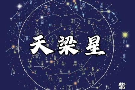 子由紫薇斗数