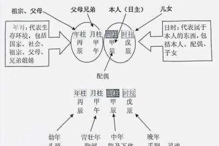 四柱八字同气