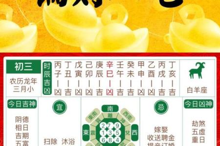 偏财八字图解大全大气清新