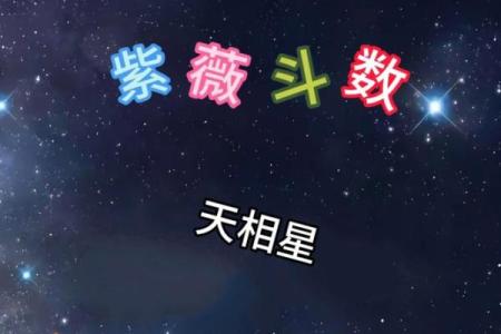 紫薇斗数金星