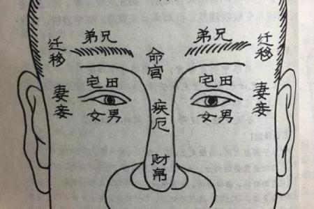 面相图解-弓丧眉算命及性格特征