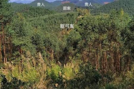 选墓地如何看风水