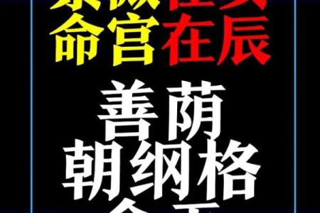 紫薇斗数断盘