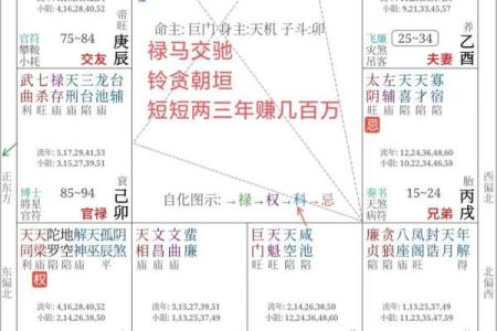 紫微斗数凶恶格局总结 紫微斗数里的狠角色？