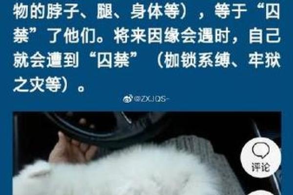 算命的说我占鬼道