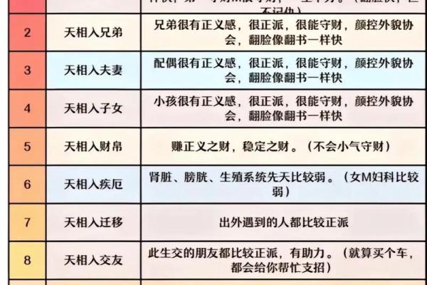 紫薇斗数是什么意思