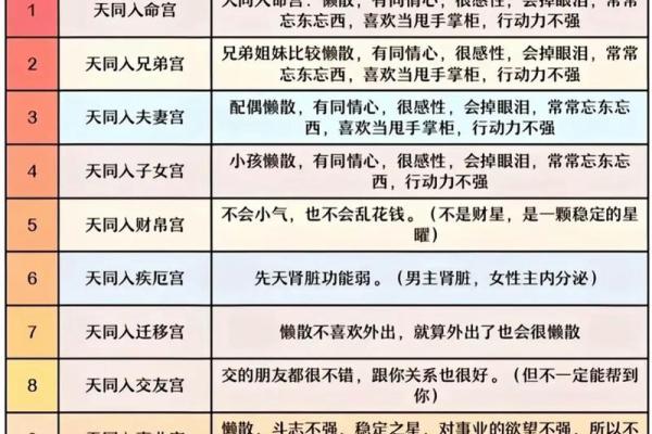 紫薇斗数排位
