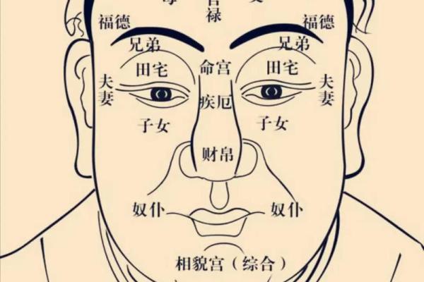 紫薇斗数排位