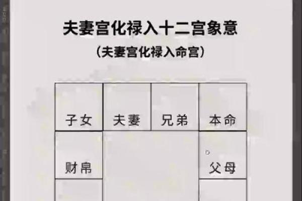 紫薇斗数夫妻宫紫薇庙科
