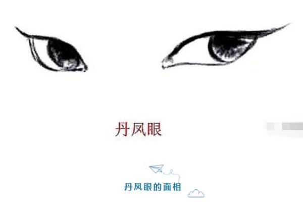 眼皮的面相解析 通过眼皮看面相算命 眼皮的面相解析 通过眼皮看面相算命