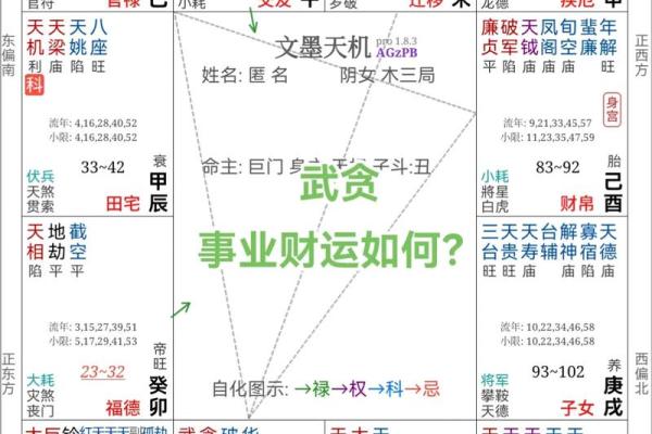 紫薇斗数事业成就