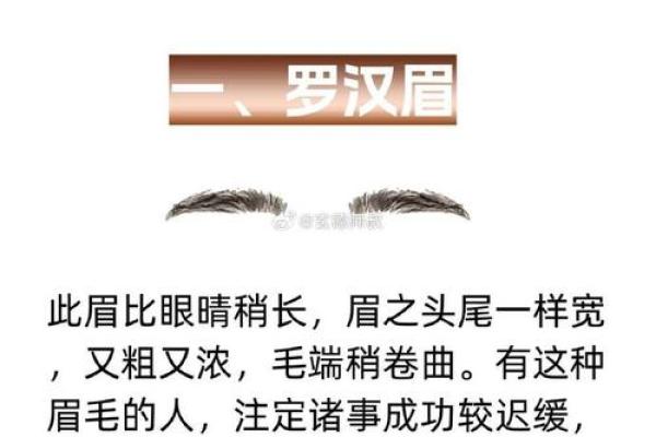 风水角度什么眉毛最好看最招财：长眉