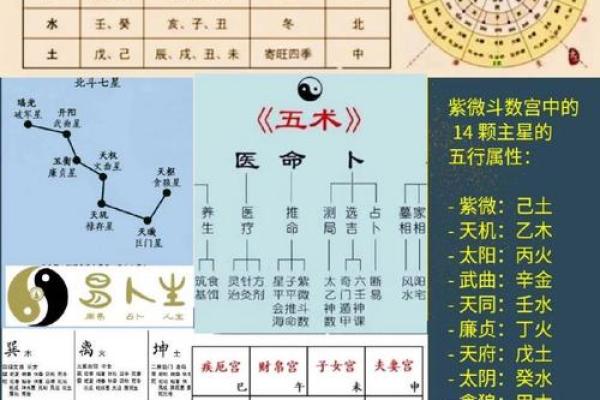 算命紫薇斗数算命