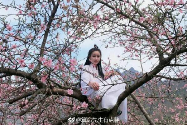 胖子给老太太算命的电影