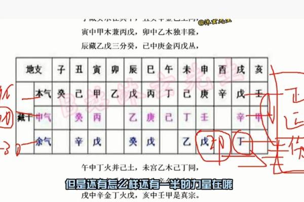 八字-人元（论地支遁藏即地支藏干）