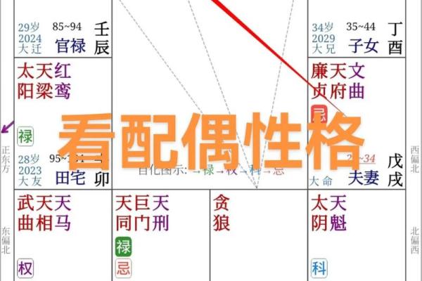 紫薇星盘看姻缘