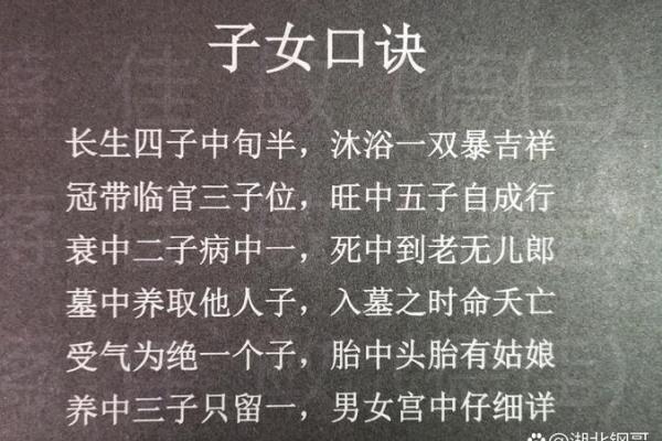 无子女八字