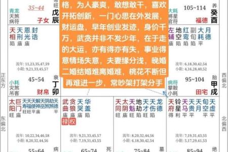 紫薇命盘免费详解 如何免费详解紫薇命盘