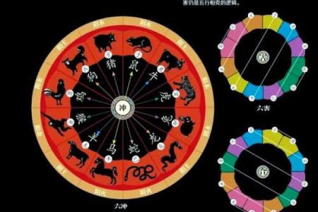 哪个动物是算命先生,哪个生肖会算命