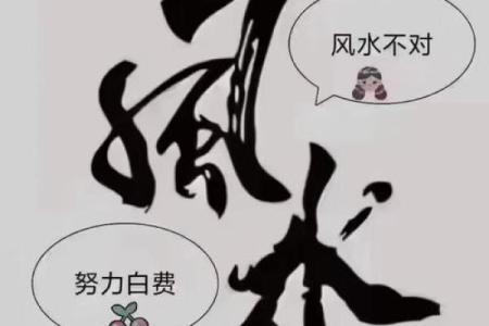 大忌：阴阳颠倒，风水错乱！