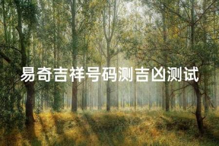 手机号码测吉凶易奇八字