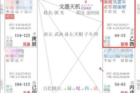 紫微斗数诸星落诸宫之：其它星（为独守时用，当与正星同宫时