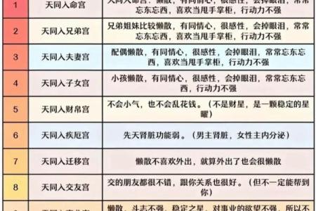 紫薇斗数排位