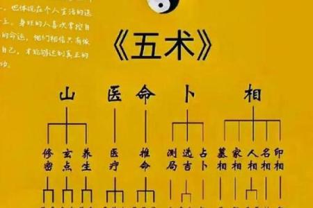 八字人体