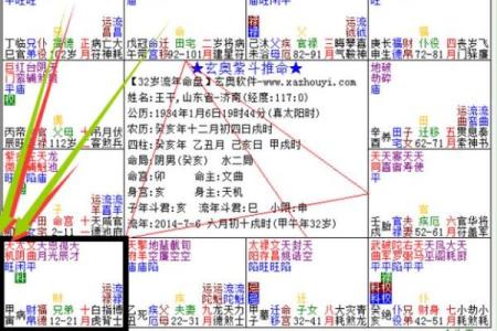 紫薇斗数财帛星