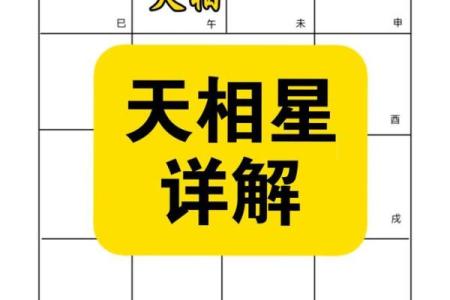 紫微斗数：天机星