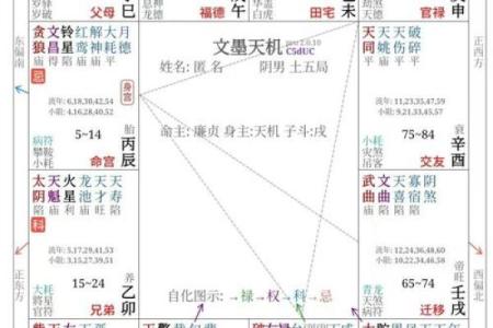 紫微斗数之迁移宫与诸星，贪狼星在迁移宫是什么意思？