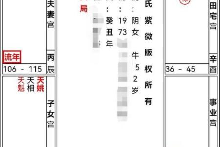 紫薇斗数流年考运