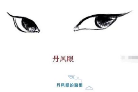 眼皮的面相解析 通过眼皮看面相算命