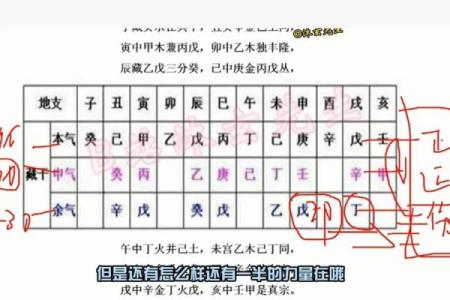 八字-人元（论地支遁藏即地支藏干）