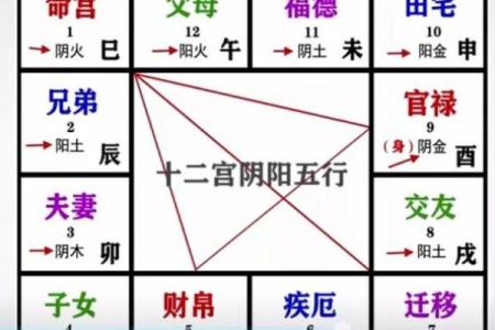 紫薇斗数官禄宫天府