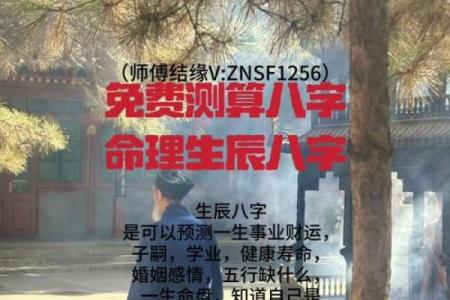 八字看老单身