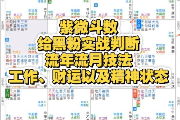 紫薇斗数绝密