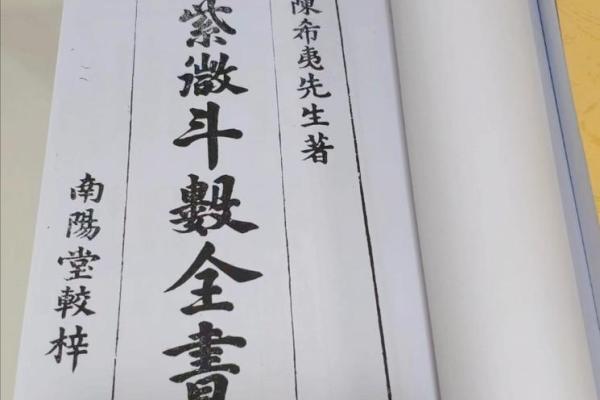 紫微斗数rumen 紫微斗数入门全书？