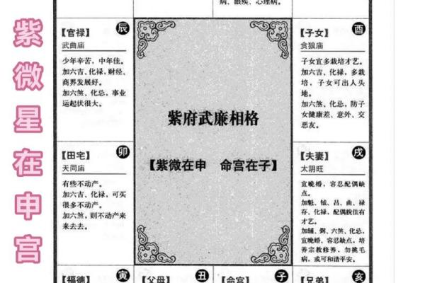 紫微斗数诸星落诸宫之:其它星(以下星曜为本宫主星时的情况,有 紫微斗数诸星落诸宫之:其它星(以下星曜为本宫主星时的情况,有